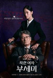 Госпожа Инкогнито / Хорошая женщина Бу Се Ми (сериал 2025)